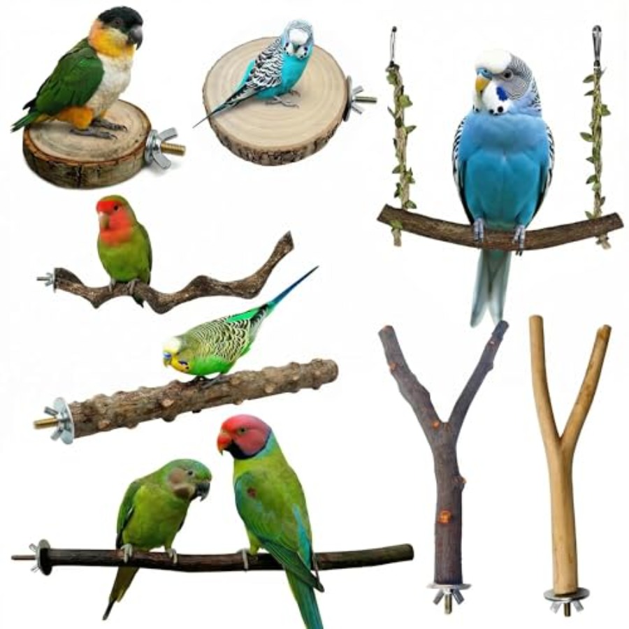 8PCS natural wood bird perches - огляд і ціна Health & Wellness Therapy Center